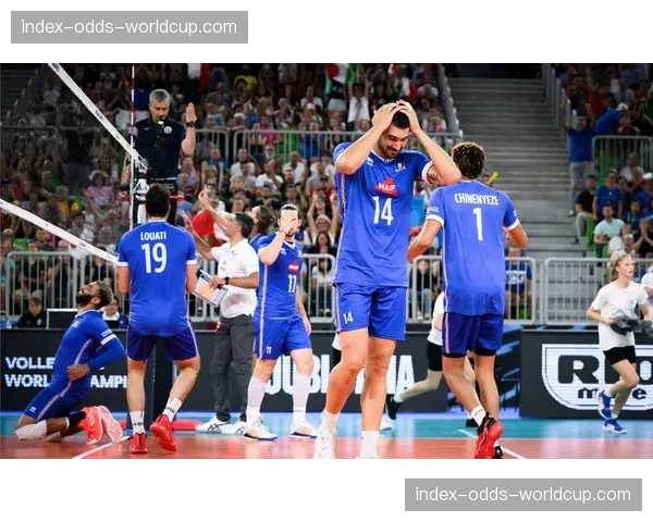 法国男排公布里约热内卢站大名单,奥运东道主开启新周期 法国男排公布里约热内卢站大名单,奥运东道主开启新周期